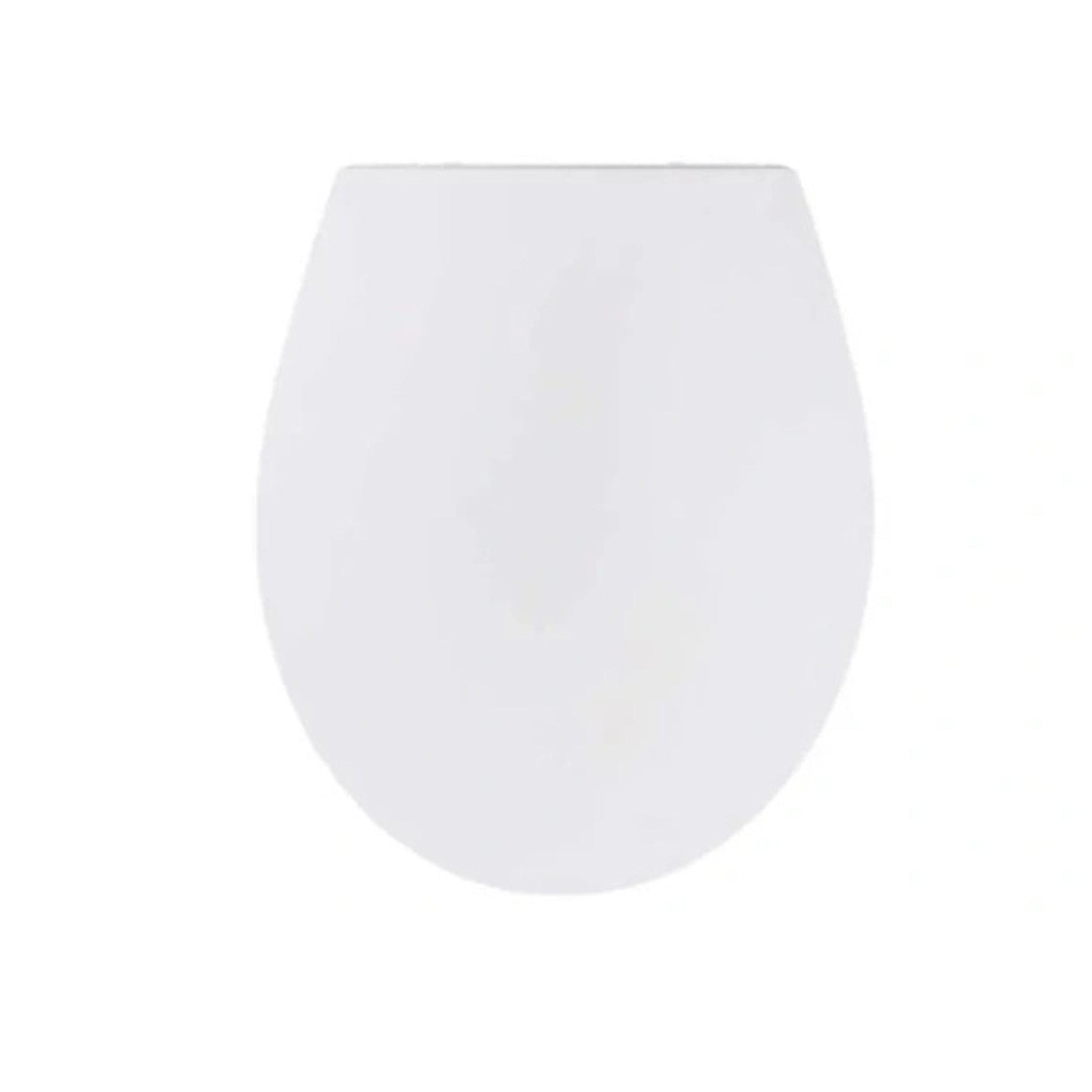 https://cdn.shopify.com/s/files/1/0624/3549/2005/files/753582_14095992-b0a1-4181-85e9-11ed84fb73db.jpg?v=1753499320